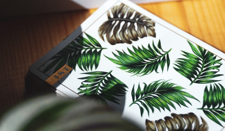 1st v3 By Chris Ramsey