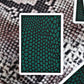 MYNOC 5: (Snake)